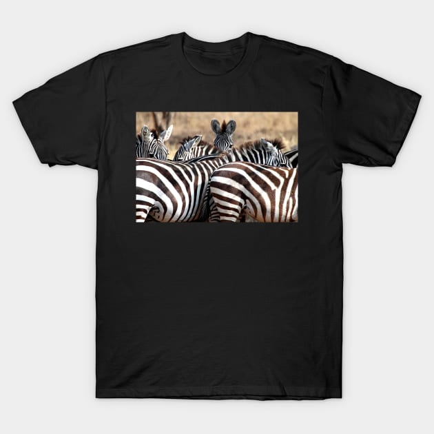 Plains Zebra,  Serengeti National Park, Tanzania. T-Shirt by Carole-Anne